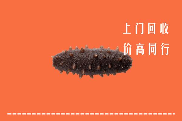 附近收购：兴安区回收海参
